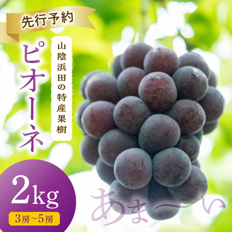 【ふるさと納税】【先行予約】【2026年産】山陰浜田の特産果樹ピオーネ（2kg）＜8月下旬より発送＞ ふるさと納税 ぶどう ふるさと納税 ピオーネ ブドウ 葡萄 フルーツ くだもの 果物 【010_1945】 - 画像2