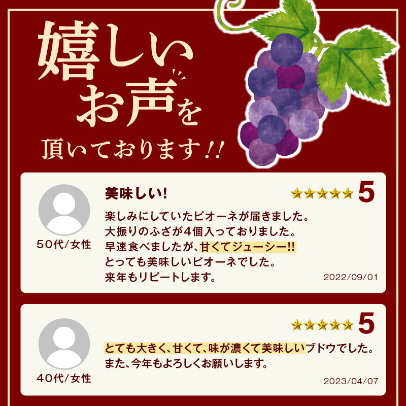 【ふるさと納税】【先行予約】【2026年産】山陰浜田の特産果樹ピオーネ（2kg）＜8月下旬より発送＞ ふるさと納税 ぶどう ふるさと納税 ピオーネ ブドウ 葡萄 フルーツ くだもの 果物 【010_1945】 - 画像3