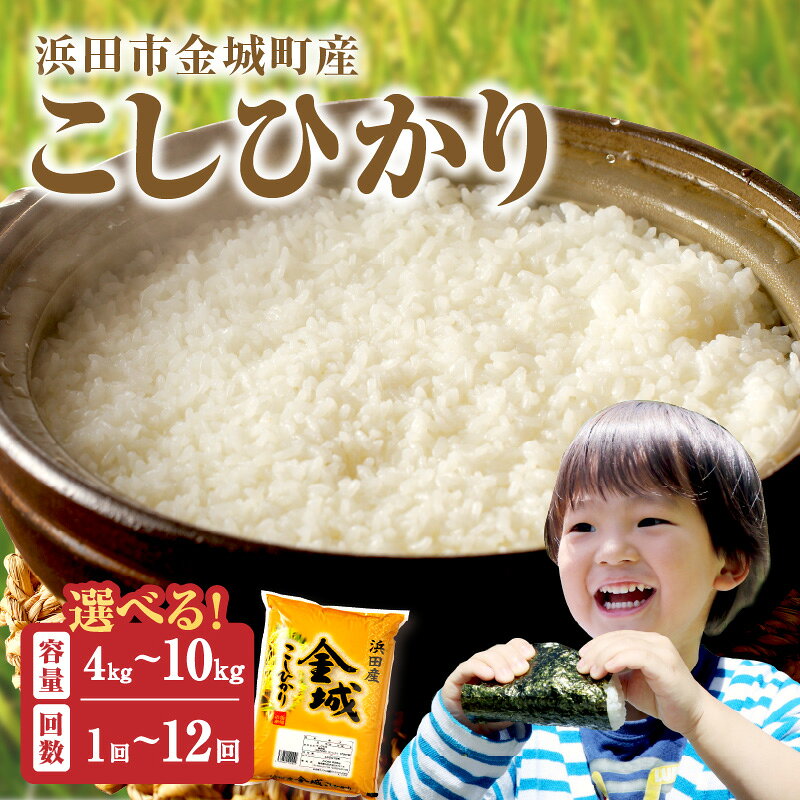 【令和7年産】【数量限定】【定期便】浜田市金城町産「こしひかり」【4kg〜10kg/1回〜12回】 選べる 定期便 こしひかり お取り寄せ 特産 お米 精米 白米 ごはん ご飯 コメ 新生活 応援 準備