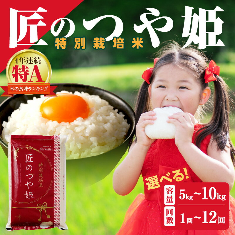【令和6年産】【定期便】特別栽培米「匠のつや姫」 【5kg 6kg 10kg/1回〜12回】 選べる 定期便 米 島根 県産 精米 玄米 お米 精米 白米 ごはん ご飯 コメ 新生活 応援 準備 特A ブランド 米