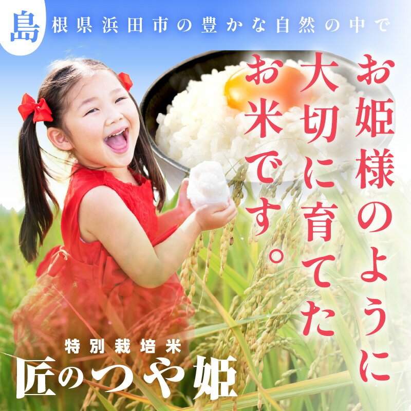 【ふるさと納税】【令和6年産】【定期便】特別栽培米「匠のつや姫」 【5kg 6kg 10kg/1回〜12回】 選べる 定期便 米 島根 県産 精米 玄米 お米 精米 白米 ごはん ご飯 コメ 新生活 応援 準備 特A ブランド 米 サムネイル2