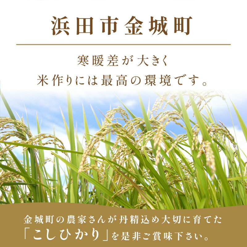 【ふるさと納税】【令和7年産】【新米先行予約】【数量限定】【定期便】浜田市金城町産「こしひかり」【5kg〜10kg/1回〜12回】＜2025年10月発送開始＞ 選べる 定期便 こしひかり お取り寄せ 特産 お米 精米 白米 ごはん ご飯 コメ 新生活 応援 準備 サムネイル3