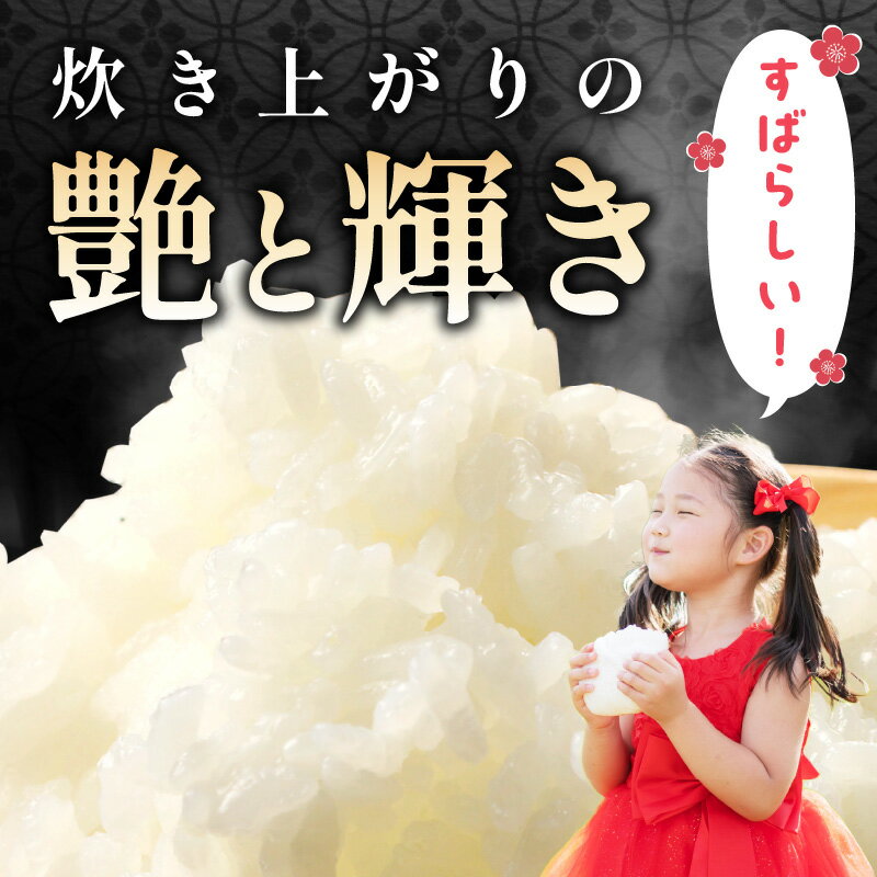 【ふるさと納税】【令和6年産】【定期便】特別栽培米「匠のつや姫」 【5kg 6kg 10kg/1回〜12回】 選べる 定期便 米 島根 県産 精米 玄米 お米 精米 白米 ごはん ご飯 コメ 新生活 応援 準備 特A ブランド 米 サムネイル3
