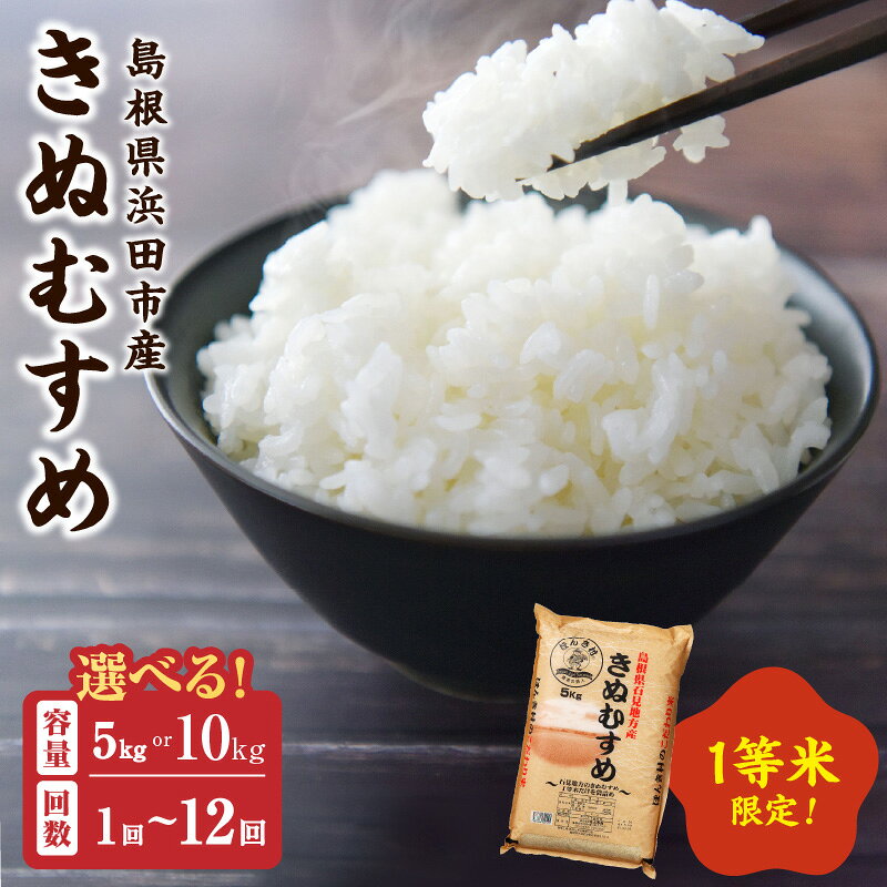 【令和7年産】浜田市産きぬむすめ【5kg 10kg/1回 6回 12回】 選べる 定期便 お米 お取り寄せ 特産 精米 白米 ごはん ご飯 コメ 新生活 応援 準備 ふるさと納税 お米