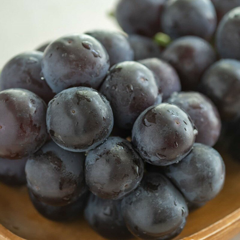 【ふるさと納税】【先行予約】種無しピオーネ 約0.9kg 2～3房《8月下旬頃から発送》 果物 ピオーネ ぶどう 先行予約 期間限定 数量限定 【183_1883】 サムネイル2