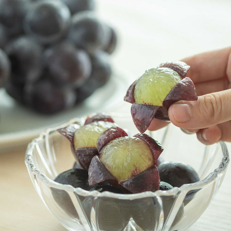 【ふるさと納税】【先行予約】種無しピオーネ 約0.9kg 2～3房《8月下旬頃から発送》 果物 ピオーネ ぶどう 先行予約 期間限定 数量限定 【183_1883】 サムネイル3