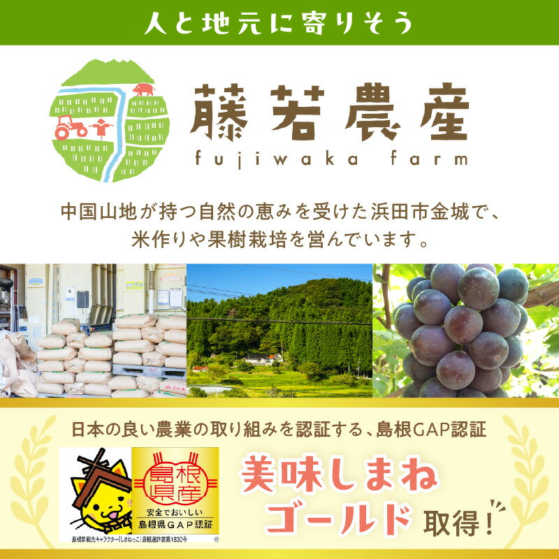 【ふるさと納税】【令和7年産】浜田市金城町産 農家直送特別栽培米 コシヒカリ 5kg 米 お米 精米 白米 ごはん おぐに 新生活 応援 準備 5キロ 特別栽培米 農家直送 【071_2072】 - 画像2