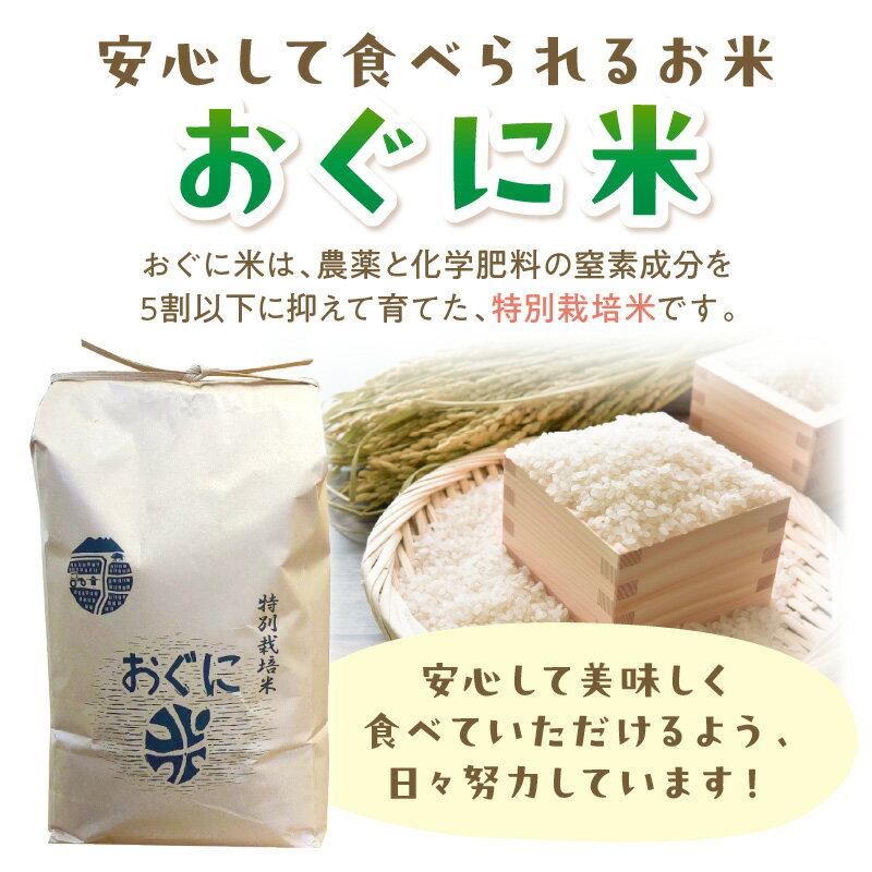 【ふるさと納税】【令和7年産】浜田市金城町産 農家直送特別栽培米 コシヒカリ 5kg 米 お米 精米 白米 ごはん おぐに 新生活 応援 準備 5キロ 特別栽培米 農家直送 【071_2072】 - 画像3