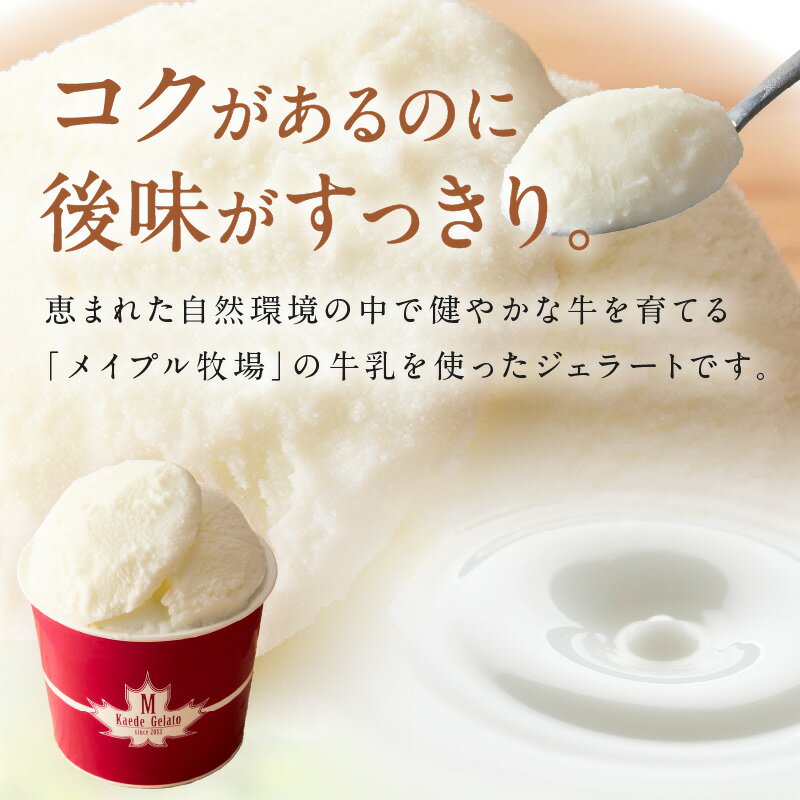 【ふるさと納税】島根の新鮮な素材をふんだんに使った「イタリアンジェラート」 【6個/12個】 選べる内容量 おやつ お菓子 デザート スイーツ アイス ジェラート セット 冷菓 ご褒美 ひんやりグルメ お取り寄せ - 画像2
