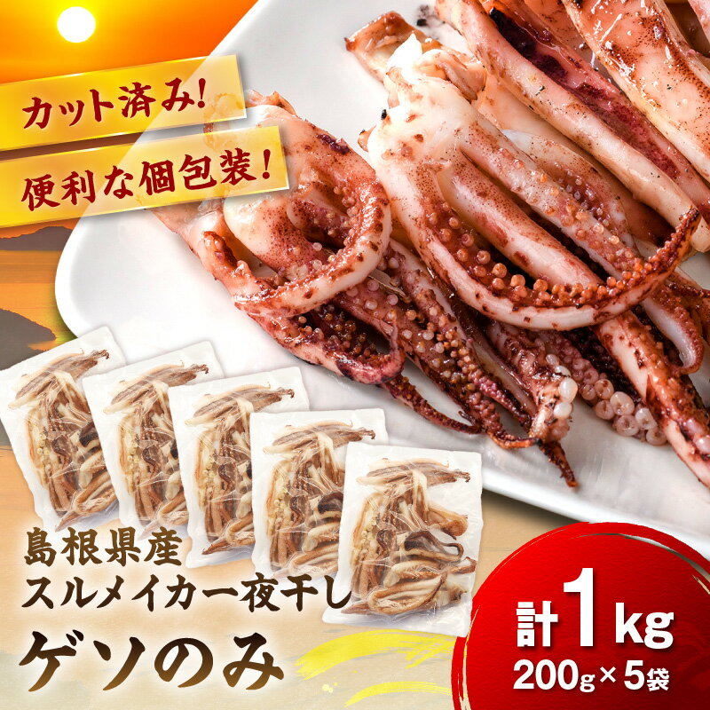 【訳あり】スルメイカ一夜干し”ゲソのみ” 計1,000g（200gx5袋） ふるさと納税 干物 イカゲソ 国産 人気 大容量 小分け 訳あり 塩味付 いか おつまみ 一夜干し 【005_0140】