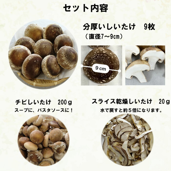 【ふるさと納税】朝採り新鮮！分厚いしいたけ　チビしいたけセット | 朝採り新鮮 分厚いしいたけ チビしいたけセット ギフト 肉厚 椎茸 しいたけ きのこ 野菜 新鮮 お取り寄せ 島根県 出雲市 - 画像2