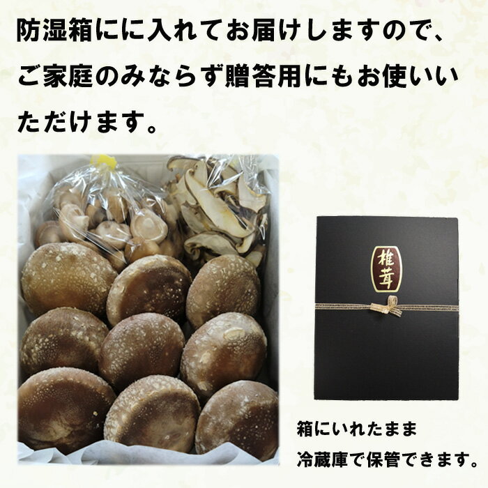 【ふるさと納税】朝採り新鮮！分厚いしいたけ　チビしいたけセット | 朝採り新鮮 分厚いしいたけ チビしいたけセット ギフト 肉厚 椎茸 しいたけ きのこ 野菜 新鮮 お取り寄せ 島根県 出雲市 - 画像3