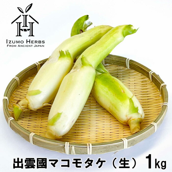 出雲國マコモタケ（生） 1kg 出雲市産　【2026年9月上旬以降発送】 | マコモダケ 出雲國 生 出雲市産 まこも 野菜 冷蔵 ご当地 食材 島根県 出雲市