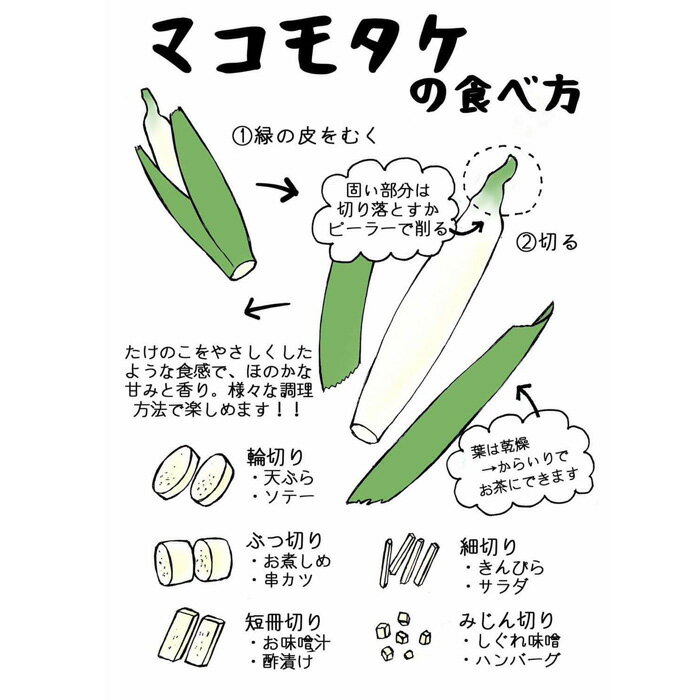 【ふるさと納税】出雲國マコモタケ（生） 1kg 出雲市産　【2026年9月上旬以降発送】 | マコモダケ 出雲國 生 出雲市産 まこも 野菜 冷蔵 ご当地 食材 島根県 出雲市 - 画像3