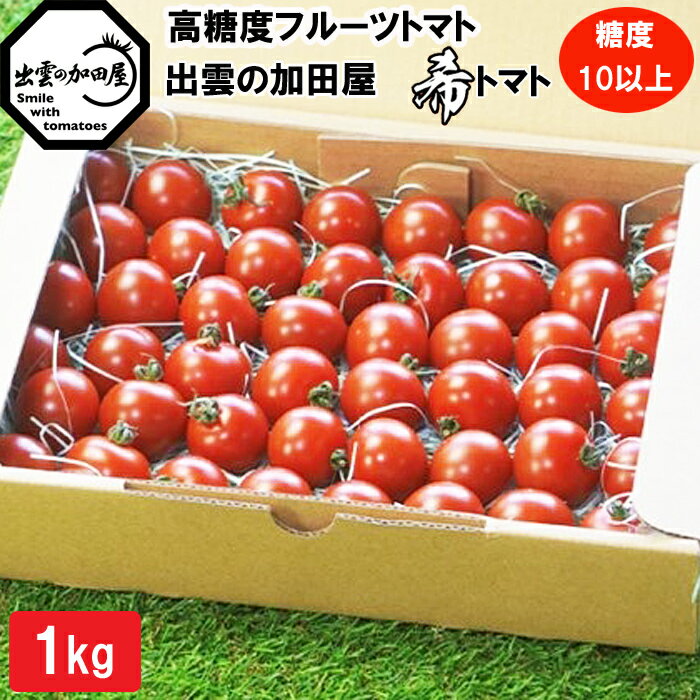 高糖度フルーツトマト【出雲の希トマト】糖度10以上　クール便配達 | フルーツトマト 出雲の希トマト 糖度10以上 クール便配達 ミニトマト 甘い 完熟 濃厚 数量限定 ギフト 贈り物 お取り寄せ 島根県 出雲市