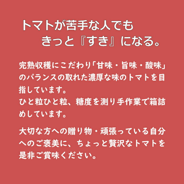 【ふるさと納税】高糖度フルーツトマト【出雲の希トマト】糖度10以上　クール便配達 | フルーツトマト 出雲の希トマト 糖度10以上 クール便配達 ミニトマト 甘い 完熟 濃厚 数量限定 ギフト 贈り物 お取り寄せ 島根県 出雲市 - 画像3