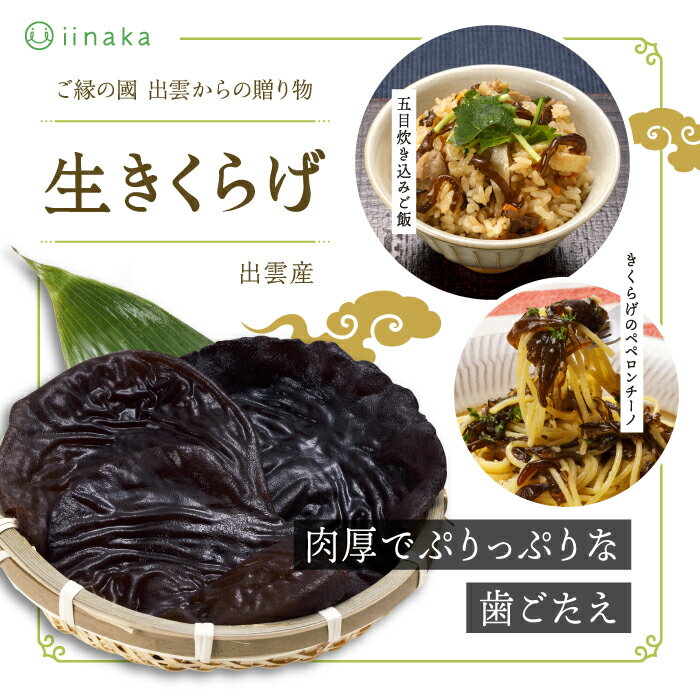 出雲市産生きくらげ | 肉厚 ぷりぷり 中華 天ぷら 炒めもの マリネ 冷凍 保存可 菌床