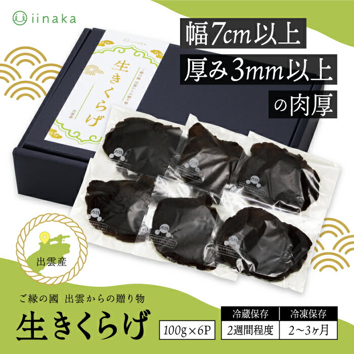 【ふるさと納税】出雲市産生きくらげ | 肉厚 ぷりぷり 中華 天ぷら 炒めもの マリネ 冷凍 保存可 菌床 - 画像2