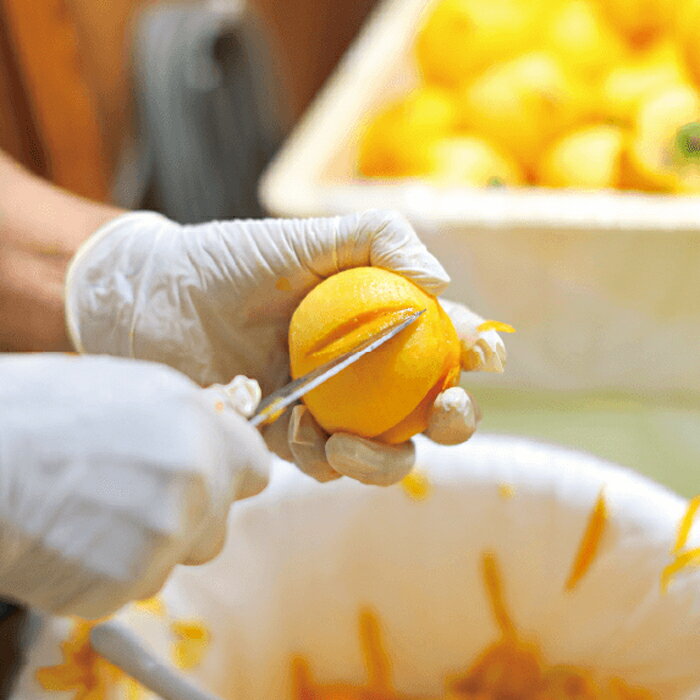 【ふるさと納税】しあわせ柿　干し西条柿 | 半生タイプ 島根県 出雲市 酸化防止剤不使用 サムネイル3