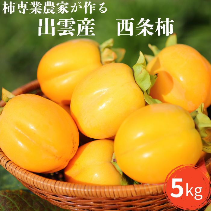 【柿専業の農家が作る】出雲産西条柿　5kg | かき 果物 くだもの ギフト 詰め合わせ フルーツ お取り寄せ 先行 予約 期間限定 島根県 出雲市