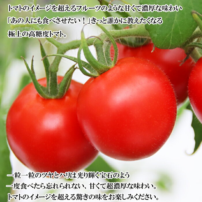 【ふるさと納税】【選べる容量】出雲の國からの贈り物～トマトを超えた超トマト1kg・2kg・3kg | トマト 選べる容量 1kg 2kg 3kg 野菜 美味しい 甘い 数量限定 期間限定 お取り寄せ 新鮮 高糖度 島根県 出雲市 サムネイル2