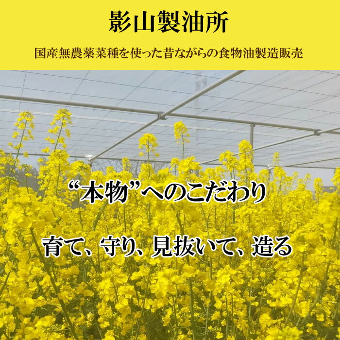 【ふるさと納税】出雲の菜種油 460g 1本・3本 | 菜種油 なたね油 国産 あぶら 圧搾 一番搾り 選べる セット サムネイル2