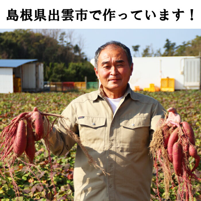 【ふるさと納税】西浜いも（べにはるか）5kg 10kg | べにはるか さつまいも さつま芋 芋 いも 島根県 出雲市 サムネイル3