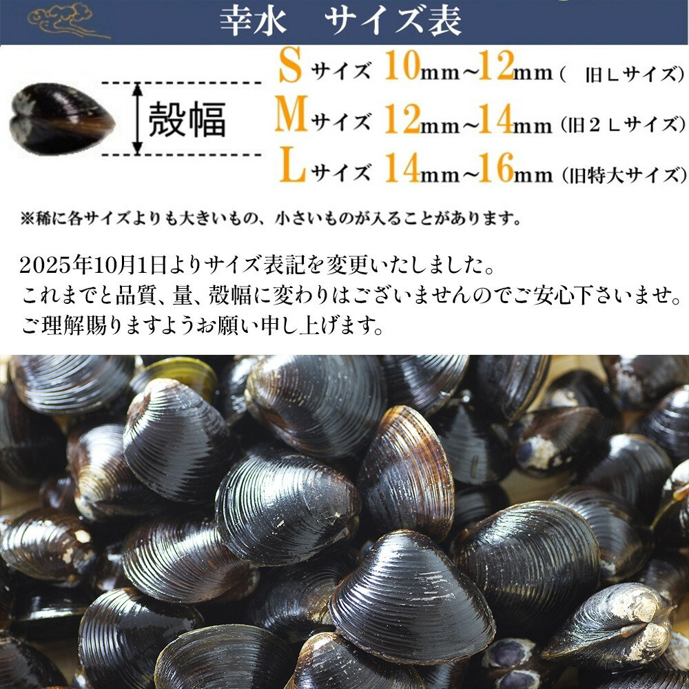 【ふるさと納税】宍道湖産冷凍しじみLサイズ（殻幅14mm～16mm）200g×10袋 | しじみ 宍道湖産 冷凍 特大サイズ 砂抜き 水洗い済 加熱用 漁師直送 新鮮 味噌汁 お取り寄せ グルメ 名物 小分け 島根県 出雲市 サムネイル2