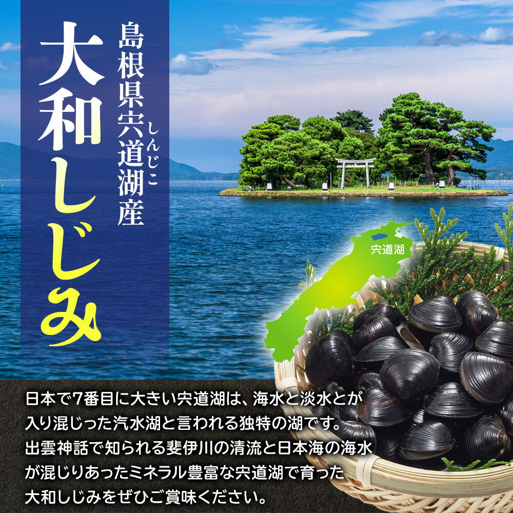 【ふるさと納税】宍道湖産冷凍しじみLサイズ（殻幅14mm～16mm）200g×10袋 | しじみ 宍道湖産 冷凍 特大サイズ 砂抜き 水洗い済 加熱用 漁師直送 新鮮 味噌汁 お取り寄せ グルメ 名物 小分け 島根県 出雲市 サムネイル3