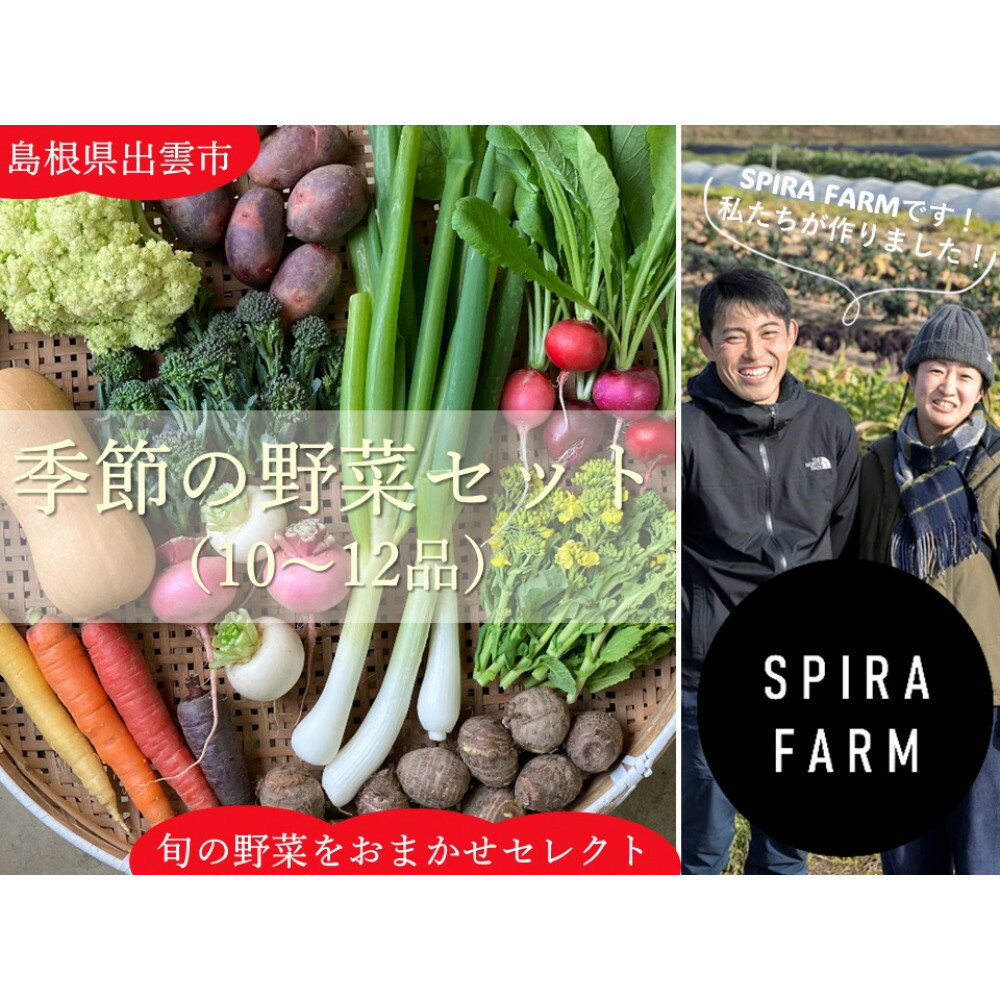 【SPIRA FARM】季節の野菜セット10～12品目入り《農薬・化学肥料は畑での栽培期間中不使用》出雲の自然の恵みを畑からお届け！［出雲 季節の野菜 野菜セット おまかせ 詰め合わせ 新鮮野菜 送料無料 ふるさと納税］