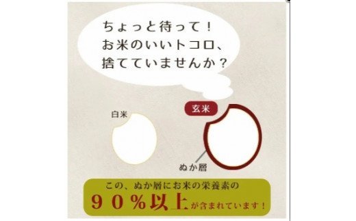 【ふるさと納税】食べる米ぬかパウダー　ぬかだけん100g 3袋セット | 食べる米ぬか パウダー 300g 加工品 健康食品 スーパーフード 至誠 ふるさと納税 出雲市 - 画像3