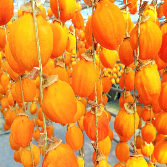 【ふるさと納税】 先行予約 干し柿 つるし柿 10個 1連 果物 フルーツ 和菓子 西条柿 干柿 甘い 季節限定 期間限定 早期予約 12月中旬〜12月下旬発送 特産品 お取り寄せ グルメ お試しサイズ サムネイル3