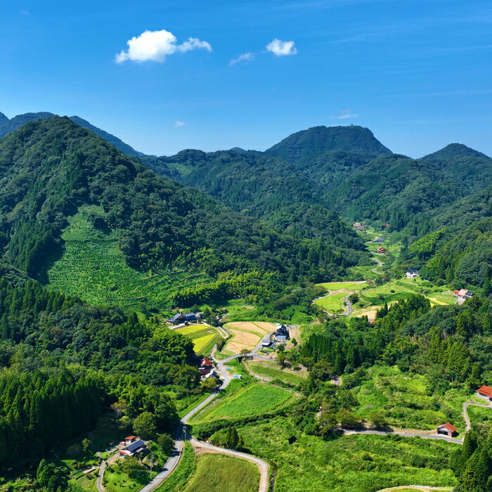 【ふるさと納税】産地直送 源流に育まれた、キヌムスメ米（5kg）お米 5kg きぬむすめ 島根県産 絹娘 精米 白米 新米 大田市産 米 おこめ 産地指定 JA 島根県 大田市 - 画像3