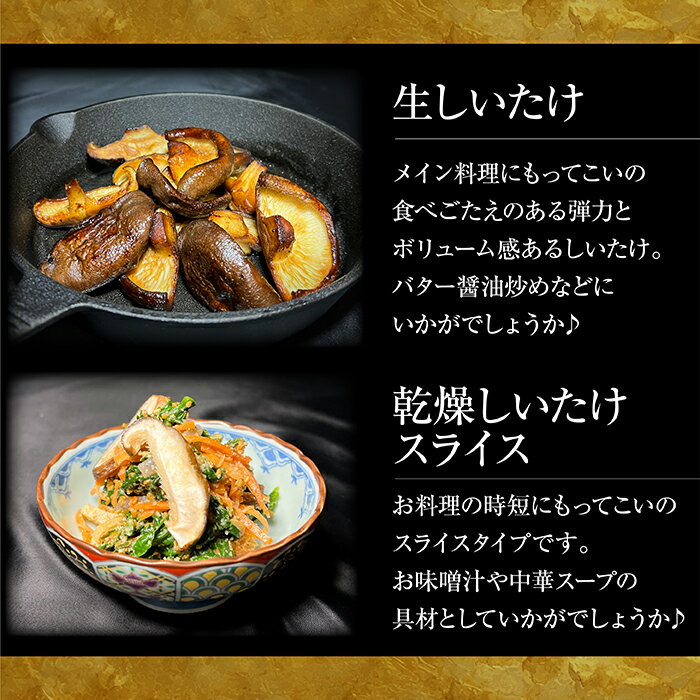 【ふるさと納税】 じょうとうじい茸3袋セット【しいたけ 椎茸 城東化成 乾燥しいたけ 干ししいたけ スライス きのこ セット 国産 おかず 炒め物 和え物 おつゆ 汁物 安全 美味しい 料理 島根県 安来市】 - 画像2