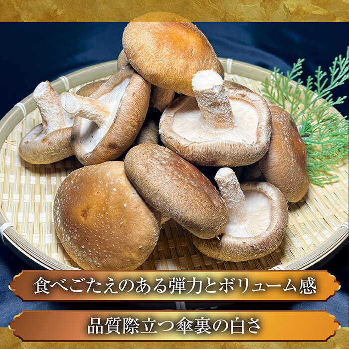 【ふるさと納税】 じょうとうじい茸3袋セット【しいたけ 椎茸 城東化成 乾燥しいたけ 干ししいたけ スライス きのこ セット 国産 おかず 炒め物 和え物 おつゆ 汁物 安全 美味しい 料理 島根県 安来市】 - 画像3