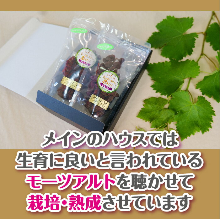 【ふるさと納税】モーツァルトに恋をして 干しぶどう シャインマスカット（100g×2個）【国産 ドライフルーツ レーズン 葡萄 ぶどう 房 お取り寄せ 小分け おやつ おつまみ フルーツ 甘い 熟成 完熟 おやつ 島根県 安来市】 サムネイル3