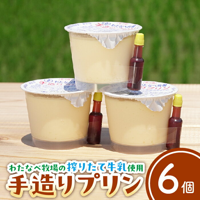 手造りプリン6個セット【冷蔵 ネッカ牛乳 ネッカ卵 蒸しプリン ソース別 牧場 スイーツ おいしい ご褒美 おやつ 牧場 搾りたて グルメ お土産 自宅用 ギフト 贈り物 島根県 安来市】