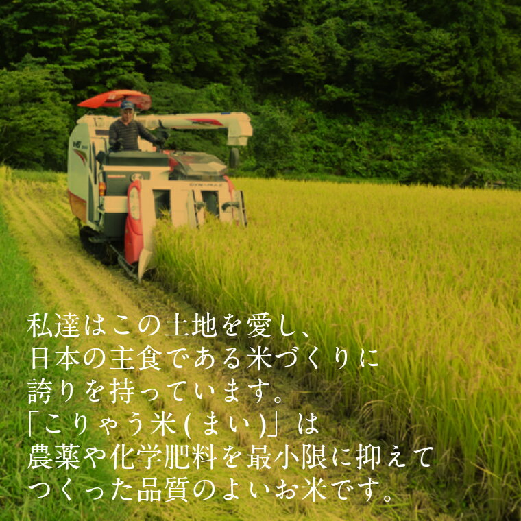 【ふるさと納税】 安来のお米【定期便】こりゃう米（まい）白米　5kg×3回（隔月）令和7年産 【定期便 5kg×3回 隔月 コシヒカリ 精米 お米 安来市産 島根県 安来市】 - 画像3