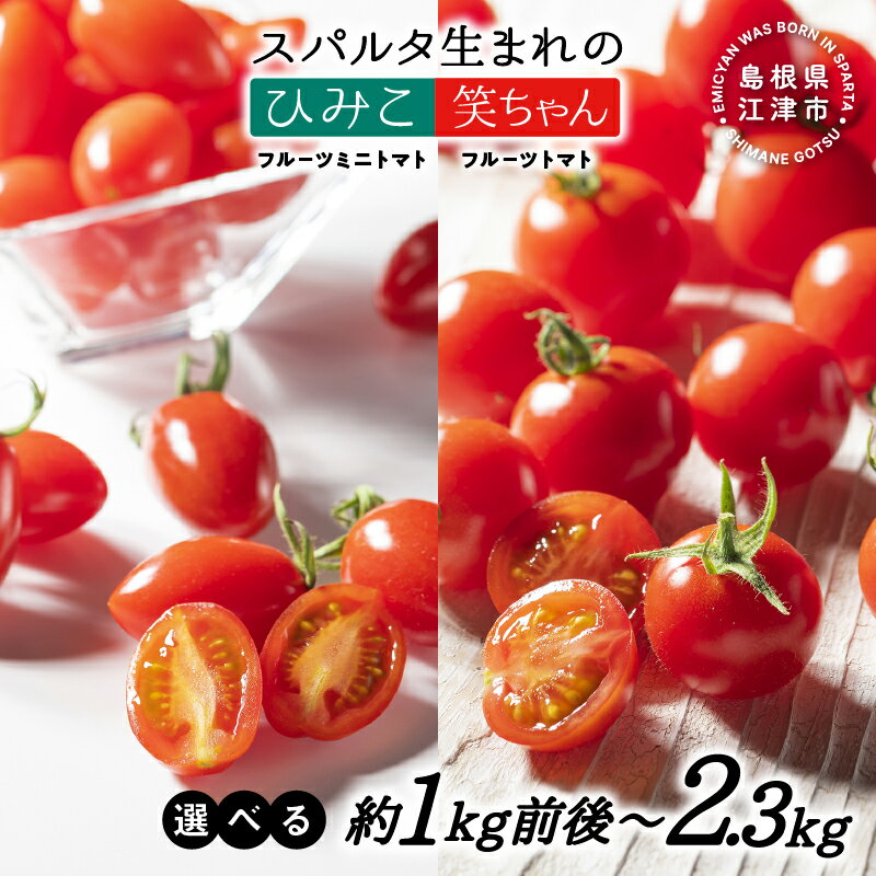 【先行予約】 スパルタ生まれのひみこ（フルーツミニトマト）スパルタ生まれの笑ちゃん（フルーツトマト）｜送料無料 産地直送 フルティカ 訳あり トマト ミニトマト フルーツトマト 甘い 人気 完熟 新鮮 野菜 サラダ 贈物 ギフト【種類と内容量を選べる】