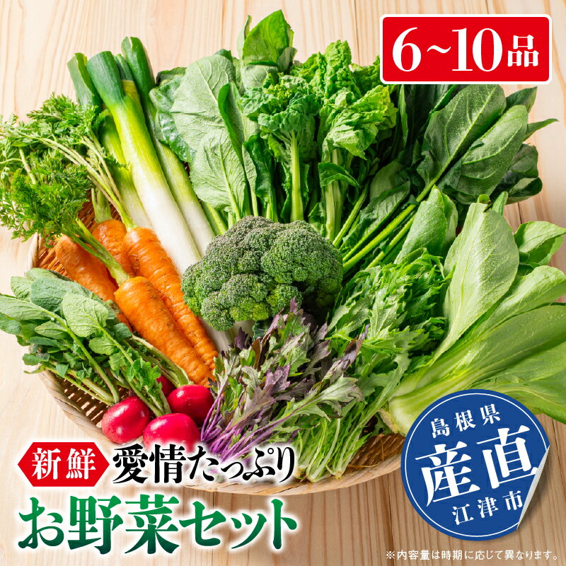 新鮮愛情たっぷりお野菜セット｜ふるさと納税 野菜 やさい 野菜セット 旬 新鮮 採れたて フレッシュ 産地直送 詰め合わせ セット リピ確定 美味しい 大好評 リピーター 送料無料｜SP-2