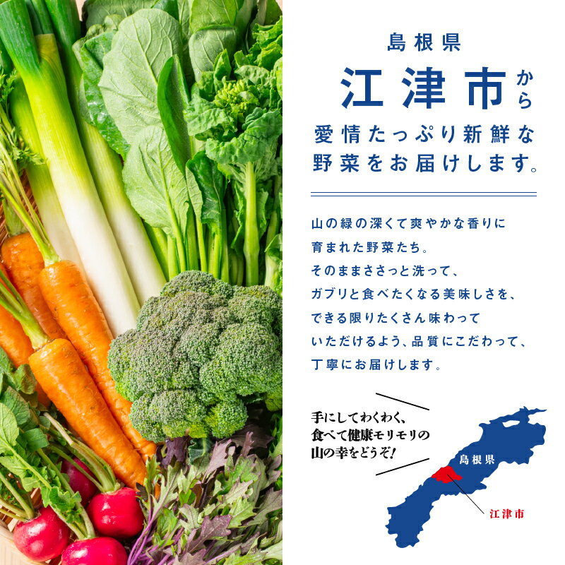 【ふるさと納税】新鮮愛情たっぷりお野菜セット｜ふるさと納税 野菜 やさい 野菜セット 旬 新鮮 採れたて フレッシュ 産地直送 詰め合わせ セット リピ確定 美味しい 大好評 リピーター 送料無料｜SP-2 - 画像3