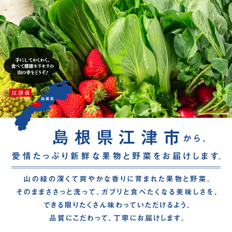 【ふるさと納税】【選べる内容】果物＆野菜セット or お野菜セット｜ふるさと納税 野菜 やさい 果物 くだもの フルーツ 旬 野菜果物 詰め合わせ セット 採れたて 新鮮 フレッシュ 産地直送 産地厳選 リピ確 美味しい おすすめ 大好評 素敵なレシピ入り 送料無料 ｜SP-1 サムネイル3