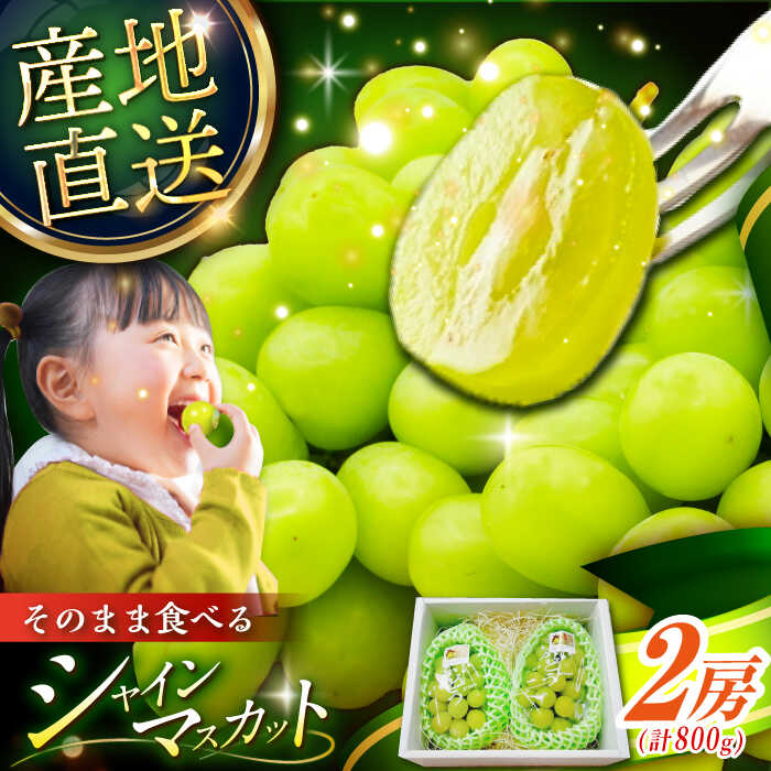 【2026年先行予約】【8月初旬頃から順次発送】 シャインマスカット 皮ごと食べれる！シャインマスカット 2房 約800g ぶどう ブドウ 葡萄 フルーツ 果物 くだもの 種なし 皮ごと 贈り物 お祝い 先行予約 島根県雲南市/池田ぶどう農園　[AIAA002]