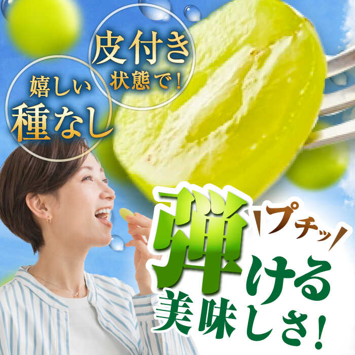 【ふるさと納税】【2026年先行予約】【30個限定】【ご自宅用】旬の味わいを産地直送で！シャインマスカット 2房（約1kg）簡易包装 訳あり ぶどう ブドウ 葡萄 フルーツ 果物 くだもの 種なし 皮ごと 家庭用島根県雲南市/ギアファーム[AIAB002] サムネイル3