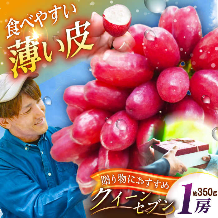 【2026年先行予約】【10個限定】【贈答用】期待の新品種！クイーンセブン 1房（約350g）秀品・化粧箱入り ぶどう ブドウ 葡萄 フルーツ 果物 くだもの 種なし 皮ごと 贈り物 先行予約 赤ぶどう 島根県雲南市/ギアファーム[AIAB007]