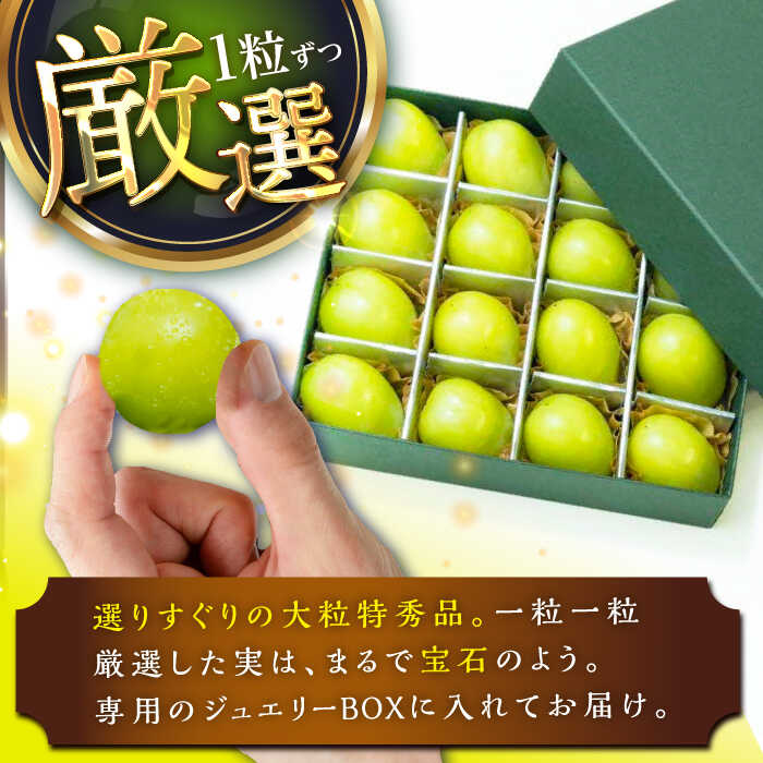 【ふるさと納税】【2026年先行予約】【25個限定】贈り物におすすめ！シャインマスカット ジュエリーBOX 16粒(約300g) ぶどう ブドウ 葡萄 フルーツ 果物 くだもの 種なし 皮ごと 贈り物 お祝い 先行予約 秀品 島根県雲南市/ギアファーム[AIAB009] サムネイル3