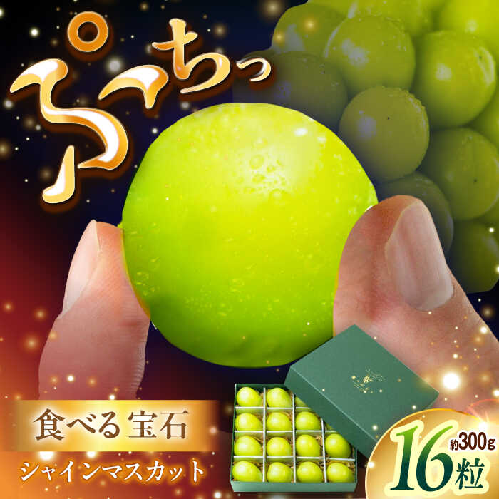 【2026年先行予約】【25個限定】贈り物におすすめ！シャインマスカット ジュエリーBOX 16粒(約300g) ぶどう ブドウ 葡萄 フルーツ 果物 くだもの 種なし 皮ごと 贈り物 お祝い 先行予約 秀品 島根県雲南市/ギアファーム[AIAB009]