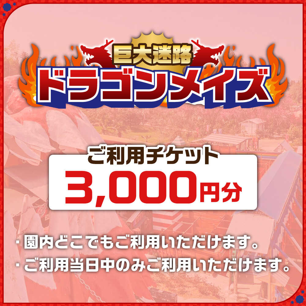 【ふるさと納税】「心の駅　陽だまりの丘」 巨大迷路 ドラゴンメイズで使えるチケット 3000円分 迷路 観光 島根県雲南市/株式会社　丸隆[AIAZ001] サムネイル2