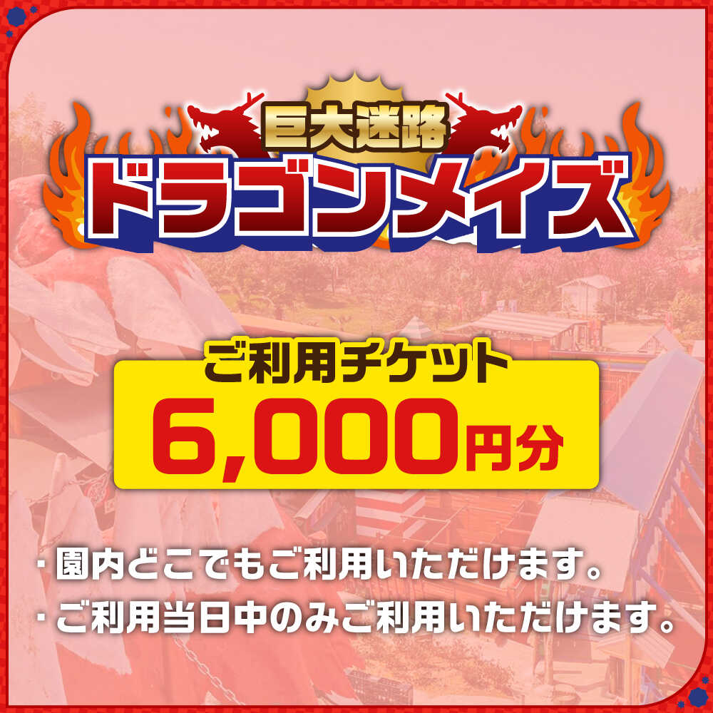 【ふるさと納税】「心の駅　陽だまりの丘」 巨大迷路 ドラゴンメイズで使えるチケット 6000円分 迷路 観光 島根県雲南市/株式会社　丸隆[AIAZ002] サムネイル2