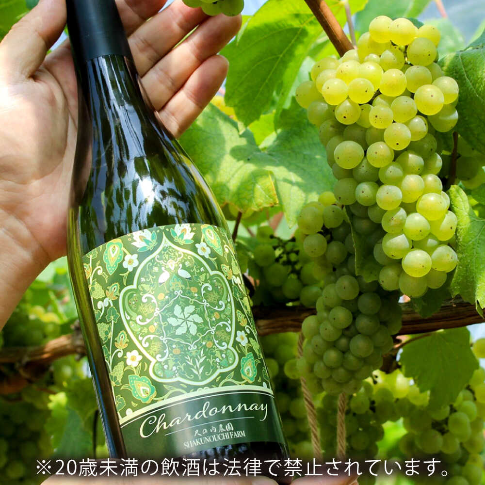 【ふるさと納税】尺の内農園ワイン シャルドネ 2本セット | ワイン シャルドネ 農園 島根 2本セット 島根県雲南市/社会福祉法人　あおぞら福祉会[AIBU003] サムネイル3